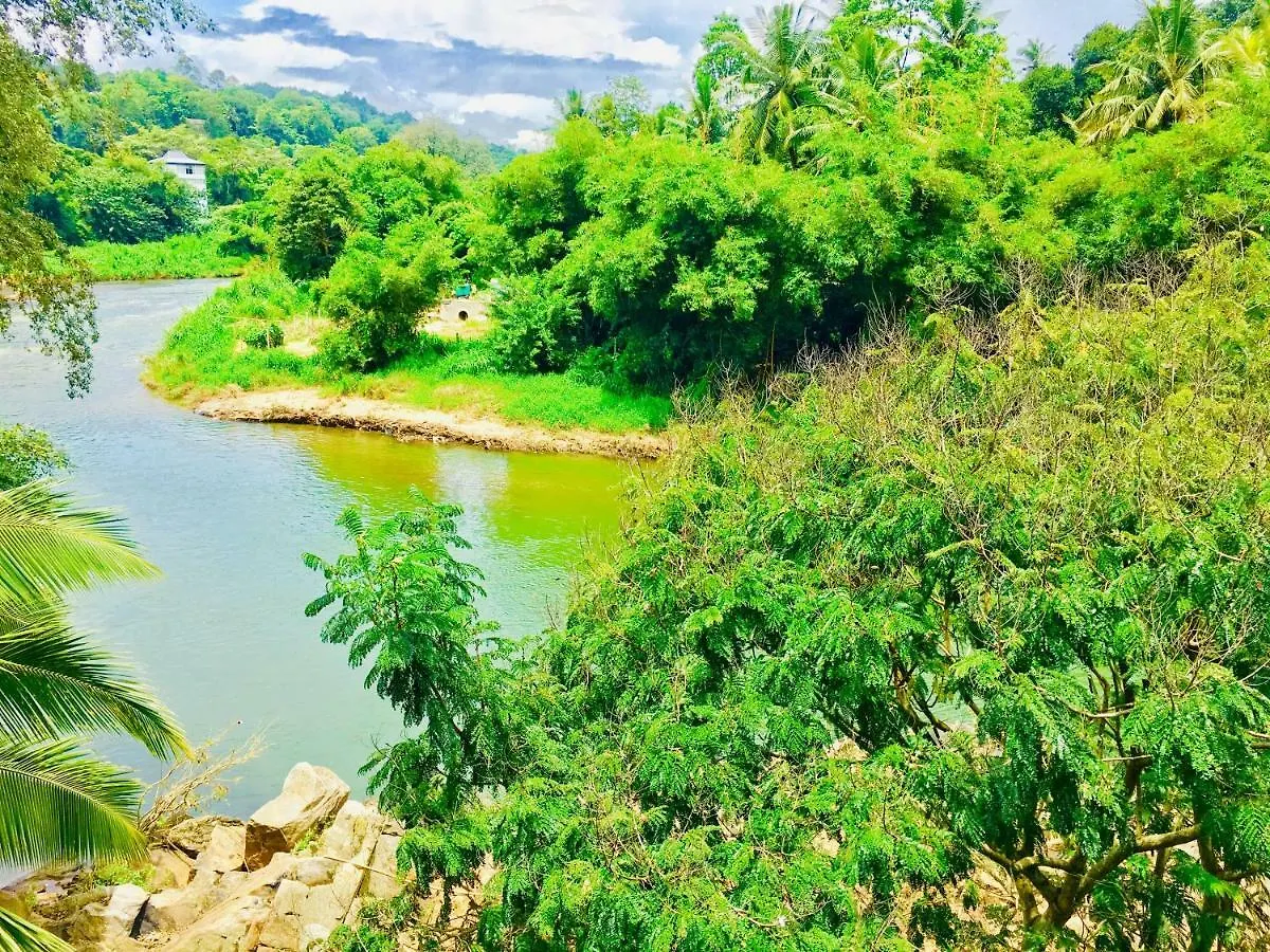 Jenushi Homestay Kandy Šrí Lanka